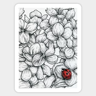 Lady Beetle Hydrangea Sticker